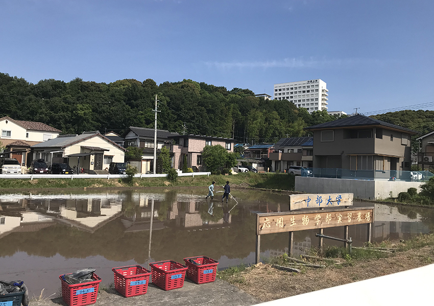 応生農場サポーターズ