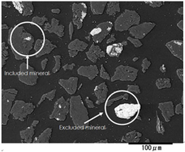 Alt	石炭粒子を樹脂で固めて研磨し、走査電子顕微鏡で観察。