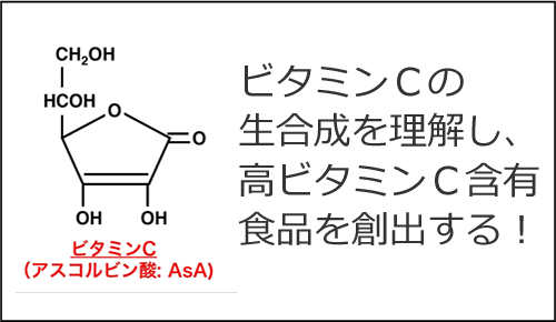 吉村研究室-1