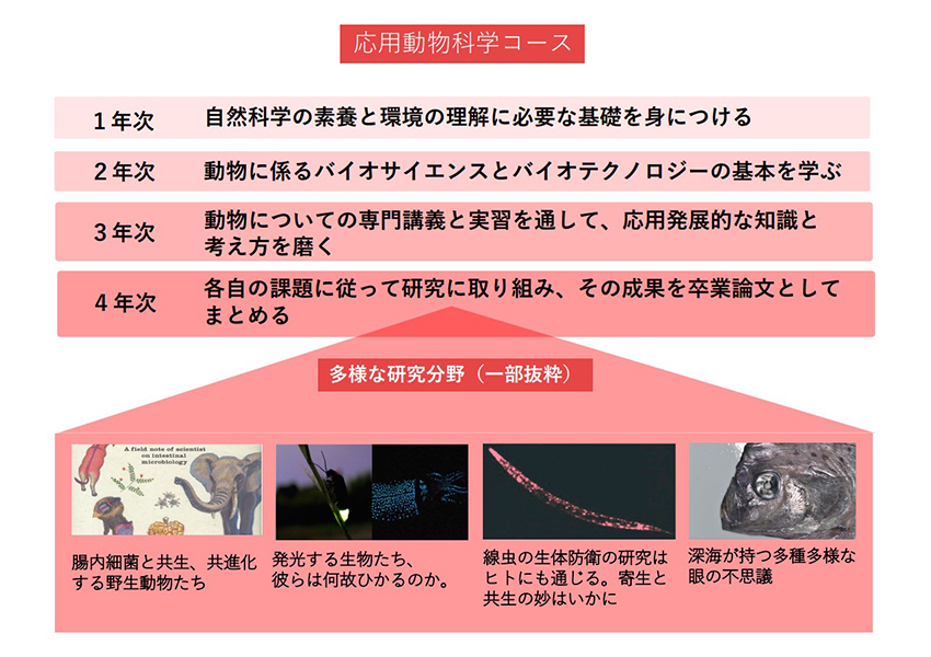 応用動物科学コース