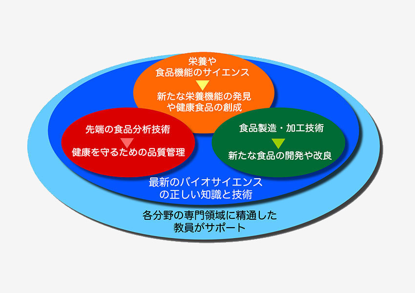 どんなことを学ぶの？