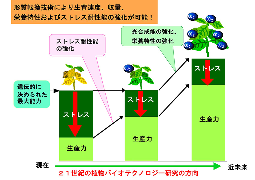 吉村研究室