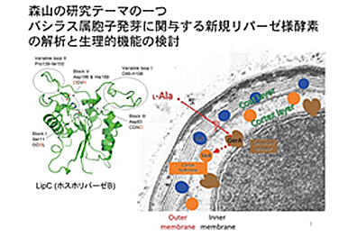 森山研究室