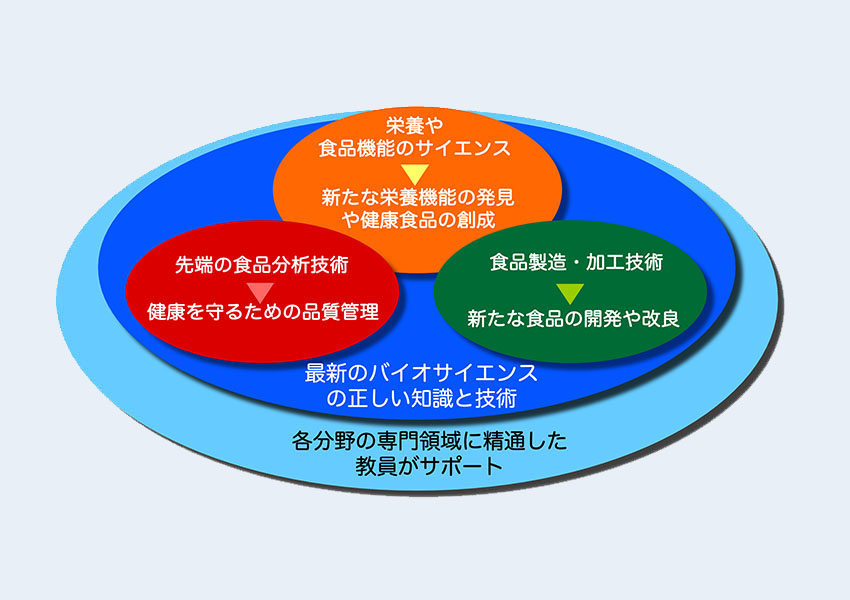 食品栄養科学専攻の特徴-1