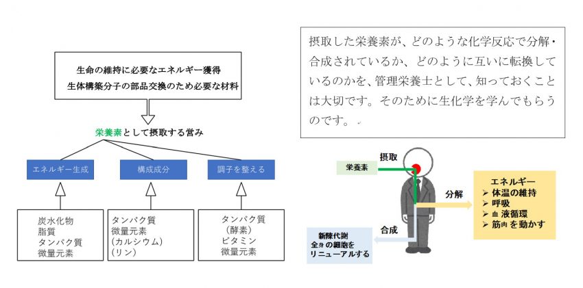徒労の積み重ね-1