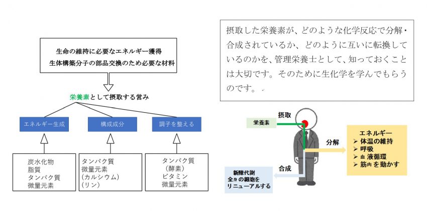 徒労の積み重ね-1