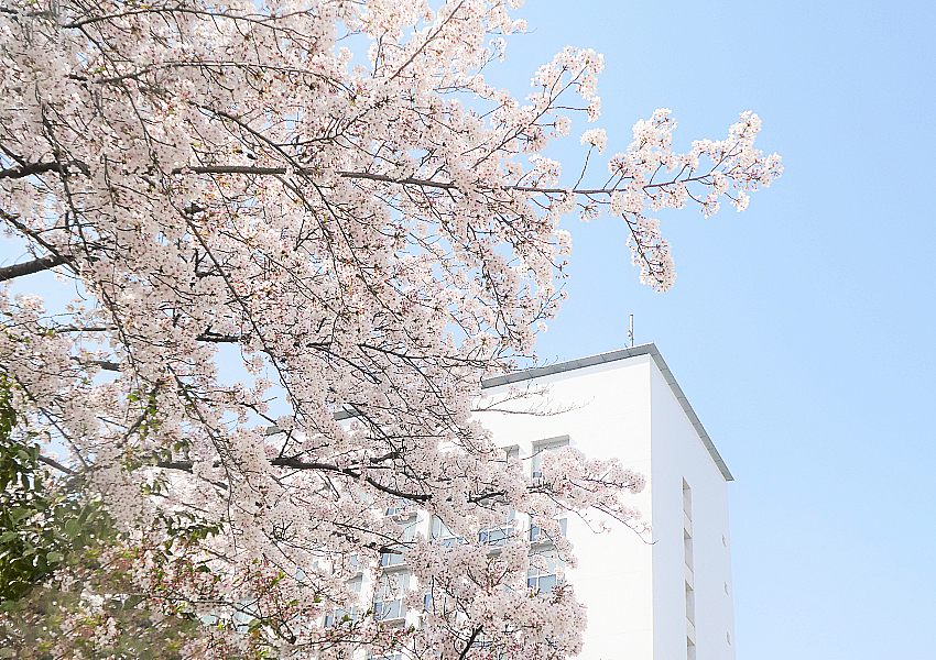 建物とその周囲-6