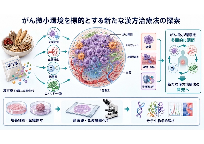 喬 善楼 がん微小環境を標的とする新たな漢方治療法の探索