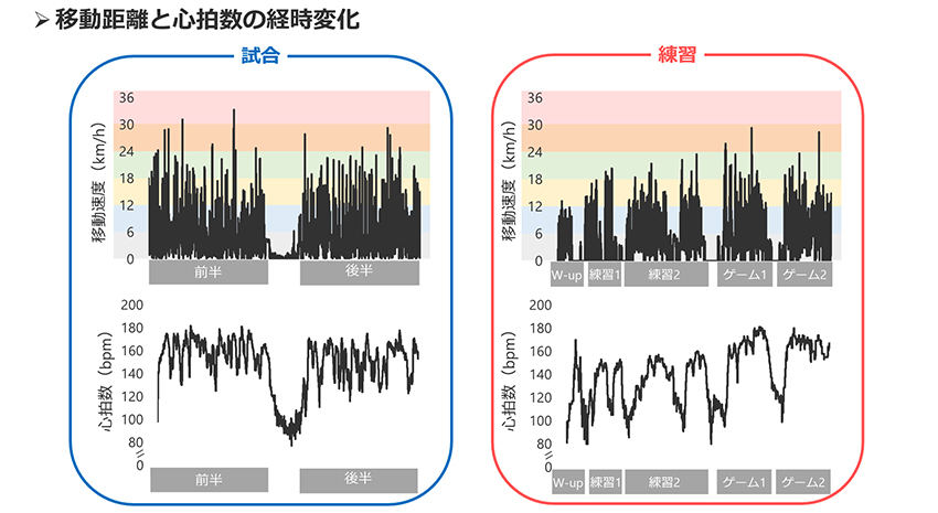 移動距離と心拍数の経時変化グラフ