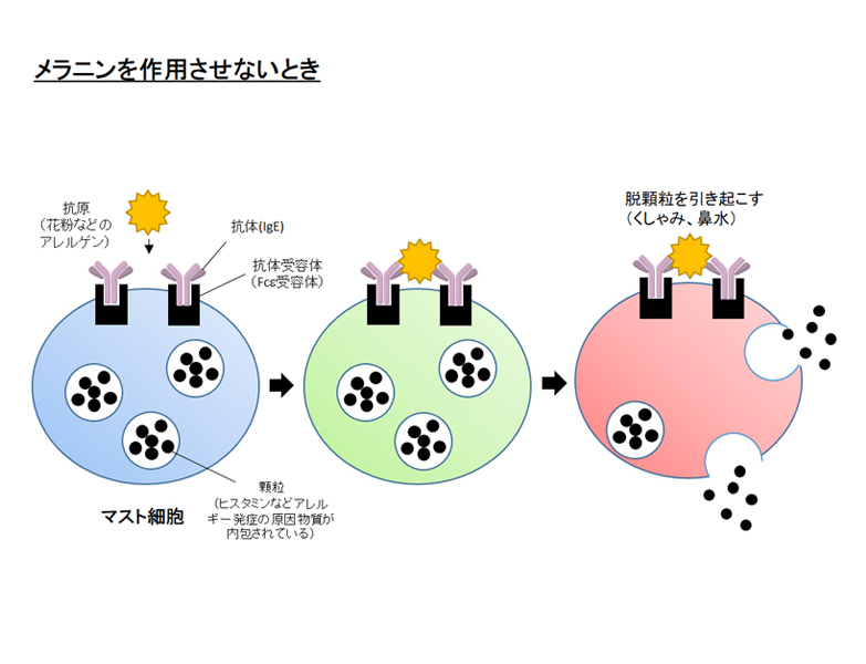 川本先生の研究内容