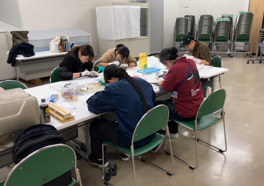 標本づくりの様子