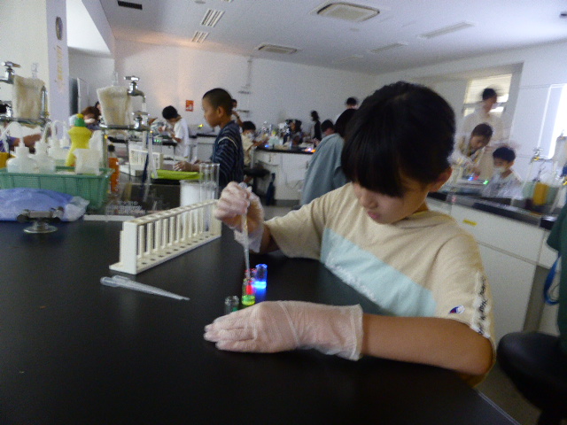 「光を虹色に分けてみよう」講座の様子2
