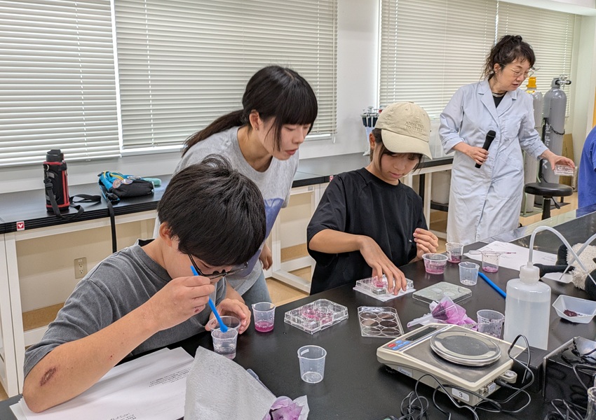 実験中の様子