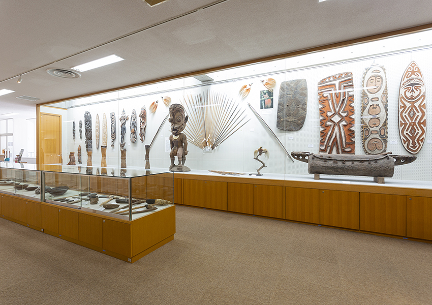 Museum of Ethnology Art