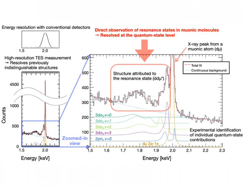 Direct observation of muonic molecules in resonance states