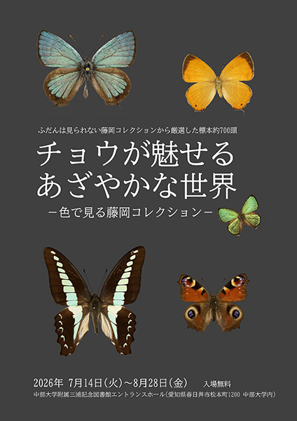 中部大学蝶類研究資料館　企画展 チョウが魅せるあざやかな世界