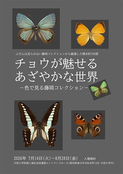 中部大学蝶類研究資料館　企画展 チョウが魅せるあざやかな世界