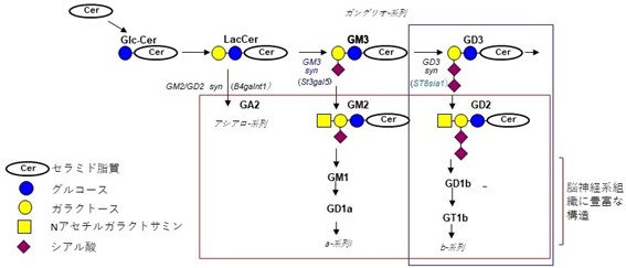古川鋼一先生　図