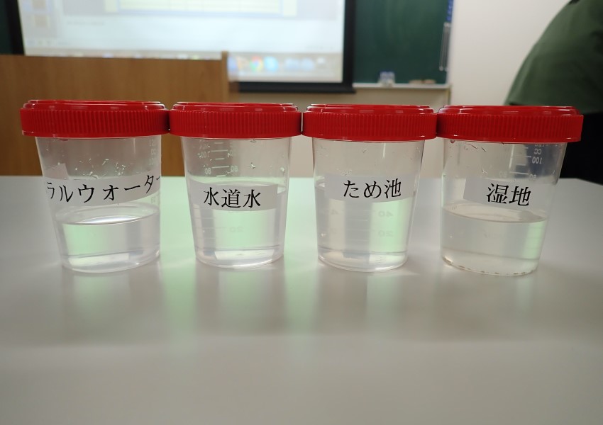 採水したサンプル4種（湿地、ため池、水道水、ミネラルウォーター）