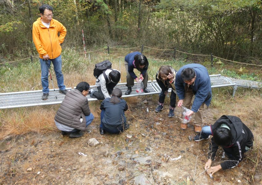 湧水フィールドでの採水