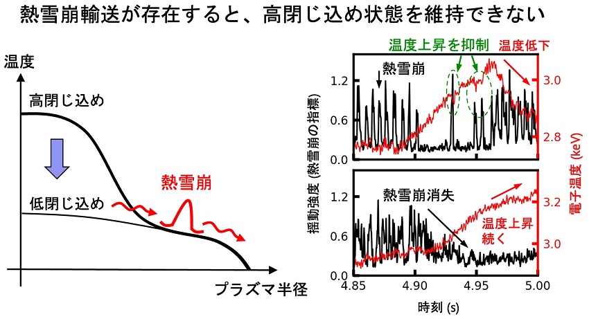 伊藤公孝先生 図1