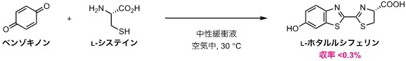 大場裕一先生 図2