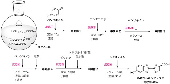 大場裕一先生 図3