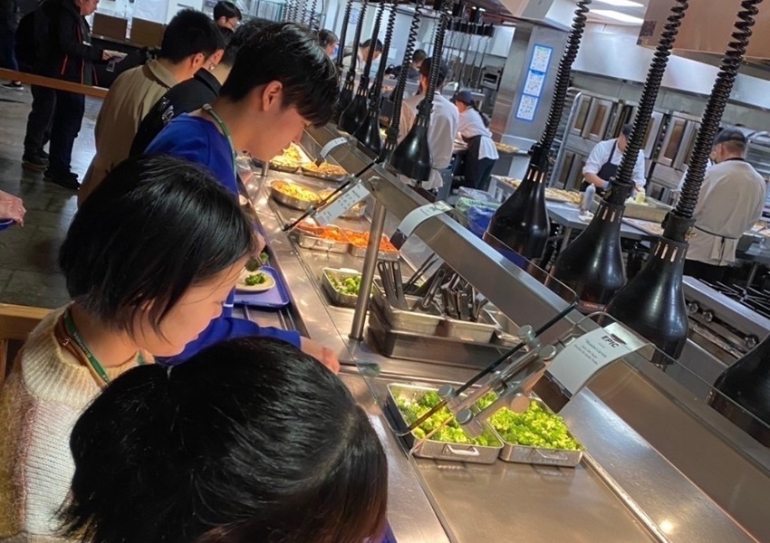 メタサラダバー