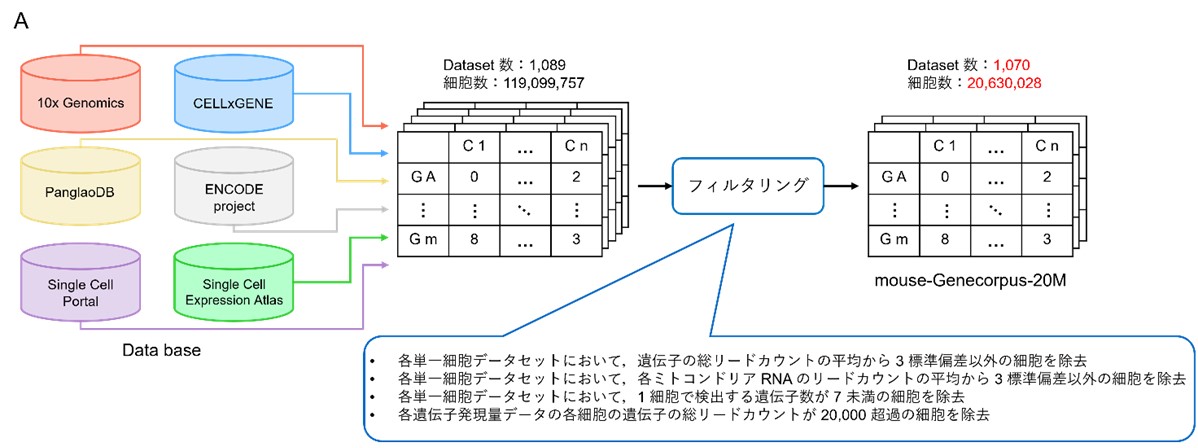 疾患モデルマウス表現型解析指南 標準解析から専門解析まで 論文ができてしまう! 疾患モデルマウス表現型解析指南 | 山村