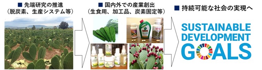 田中守先生 図3
