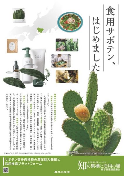 田中守先生 図4