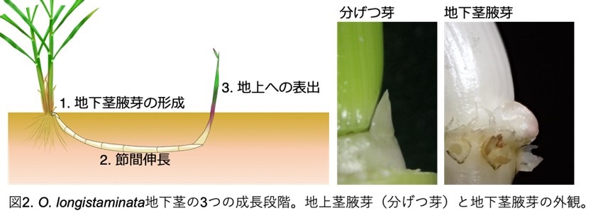鈴木孝征先生 図2