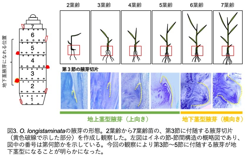 鈴木孝征先生 図3