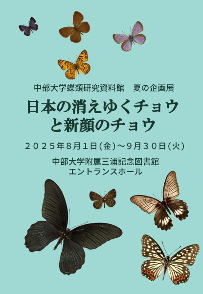 中部大学蝶類研究資料館夏の企画展　日本の消えゆくチョウと新顔のチョウ1