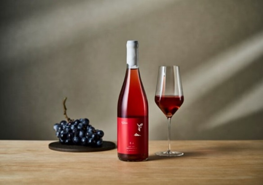 フヨウ花酵母で造ったロゼワインが発売されました | お知らせ | 中部大学