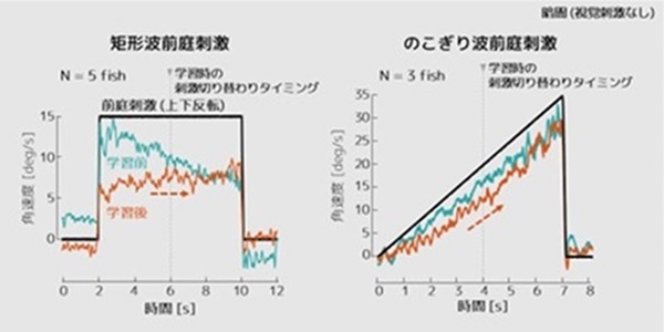 平田豊先生　図3