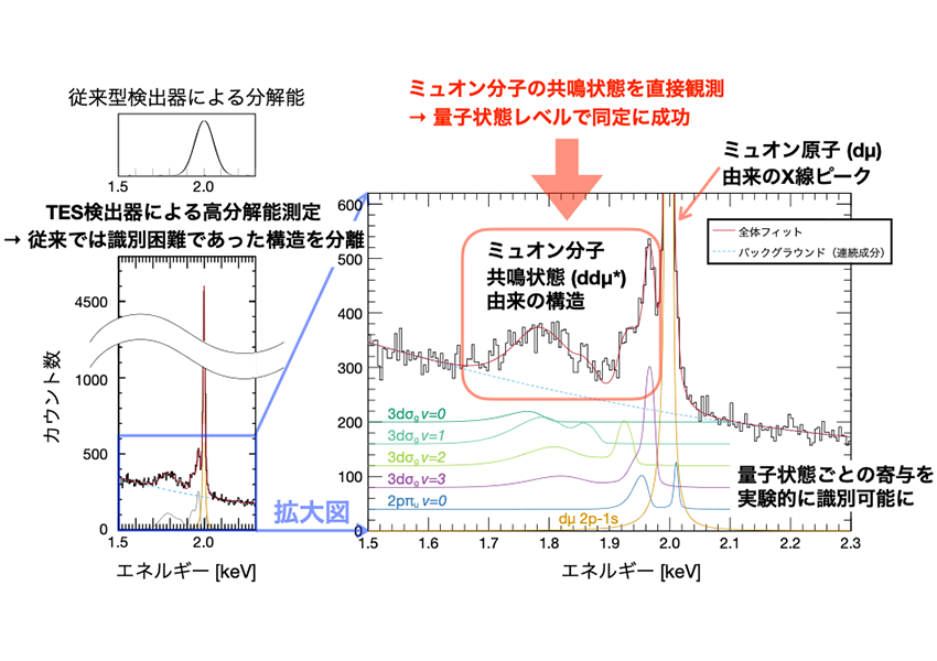 図1　ミュオン分子の共鳴状態の直接観測