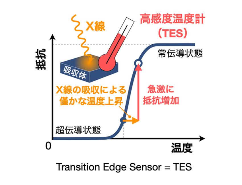 超伝導転移端センサーマイクロカロリメータ（TES検出器）