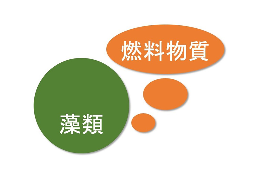 図1. 燃料物質の細胞外生産