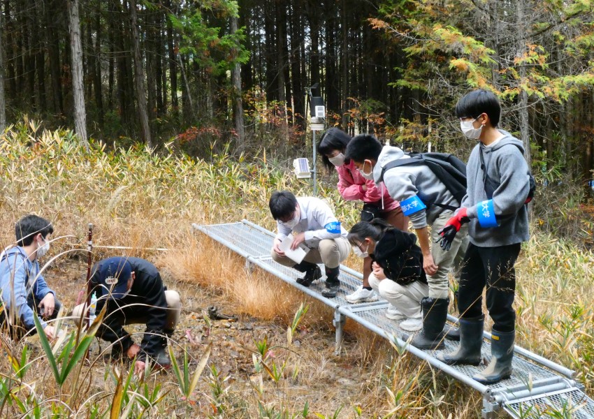 「土岐砂礫層湿地の水質と土壌」講座でのフィールドワーク」（2022年11月26日撮影）