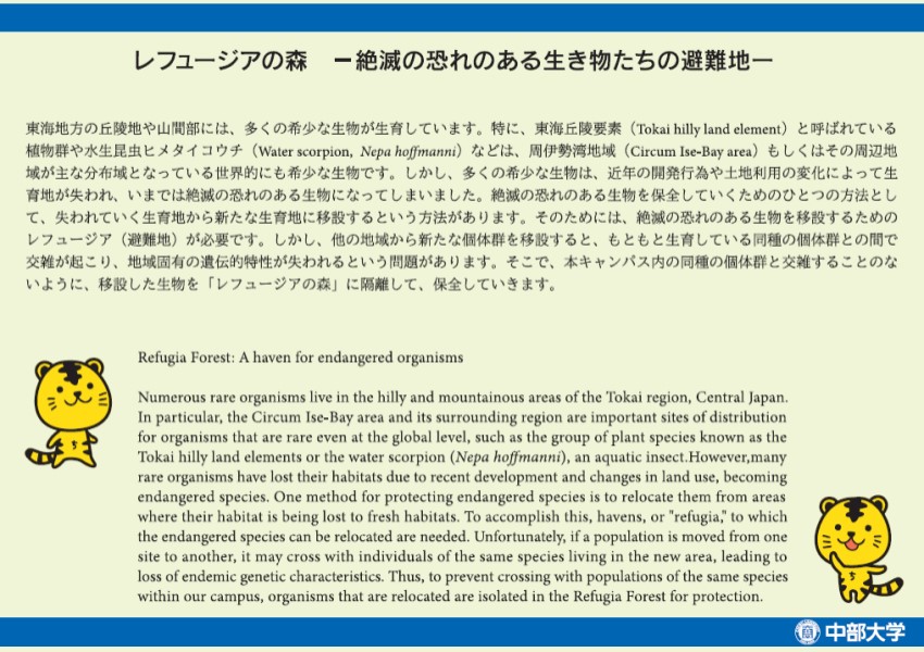 レフュージアの森ー絶滅の恐れのある生き物たちの避難地ー