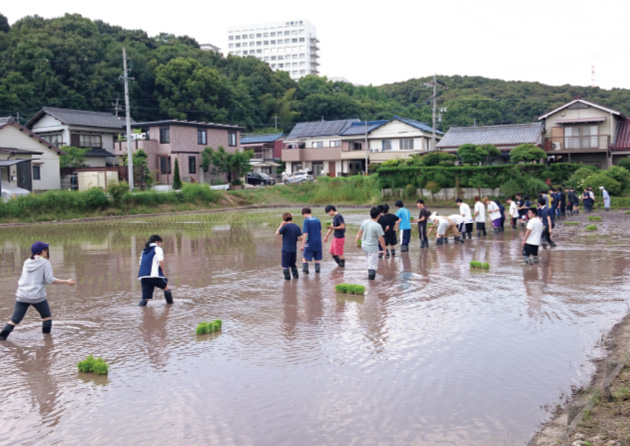 農業体験