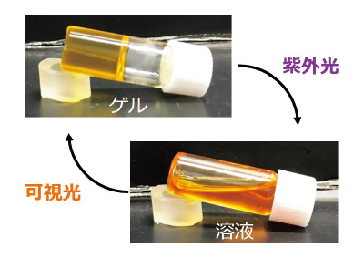 籔内 一博研究室