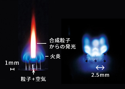 平沢 太郎研究室